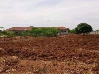 50-plots-for-sale-in-chalala-lilayi-estate