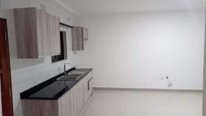 apartments-for-rent-in-lilayi-estate-big-8