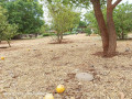 plots-for-sale-in-chalala-small-3