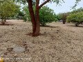 plots-for-sale-in-chalala-small-1