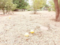 plots-for-sale-in-chalala-small-5