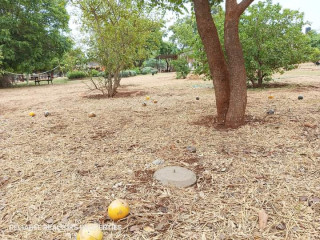 plots-for-sale-in-chalala