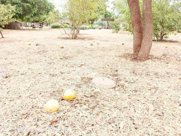 plots-for-sale-in-chalala-big-2