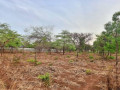 42m-x-30m-plot-for-sale-in-lilayi-small-0