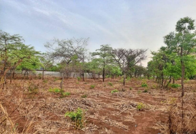 42m-x-30m-plot-for-sale-in-lilayi-big-0