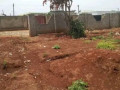 plot-for-sale-in-lilayi-estate-small-0