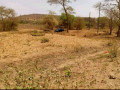 5-acre-land-for-sale-in-shimabala-small-1