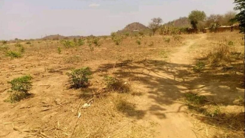 5-acre-land-for-sale-in-shimabala-big-2