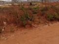 plot-for-sale-in-lilayi-small-8