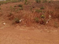 plot-for-sale-in-lilayi-small-0