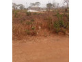 plot-for-sale-in-lilayi-small-6