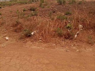 plot-for-sale-in-lilayi