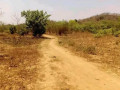 5-acre-land-for-sale-in-shimabala-small-2