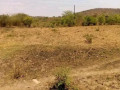 5-acre-land-for-sale-in-shimabala-small-3