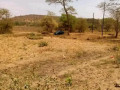 5-acre-land-for-sale-in-shimabala-small-4