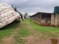 farm-land-for-sale-in-shimabala-small-9