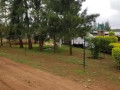 farm-land-for-sale-in-shimabala-small-7