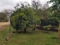 farm-land-for-sale-in-shimabala-small-4