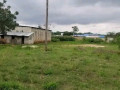 farm-land-for-sale-in-shimabala-small-8