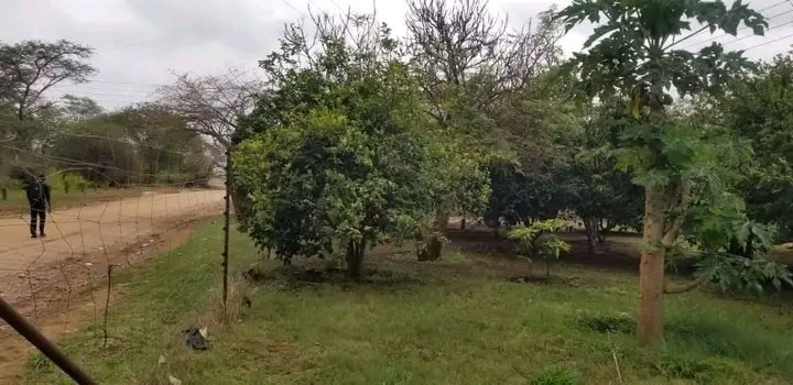 farm-land-for-sale-in-shimabala-big-4