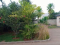 4-bedroom-house-for-sale-in-chalala-small-4