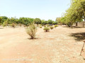 plots-for-sale-in-chalala-small-4