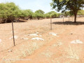 plots-for-sale-in-chalala-small-3