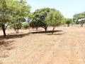 plots-for-sale-in-chalala-small-1