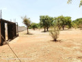 plots-for-sale-in-chalala-small-5