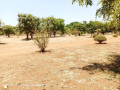 plots-for-sale-in-chalala-small-6