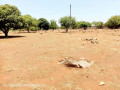 plots-for-sale-in-chalala-small-2