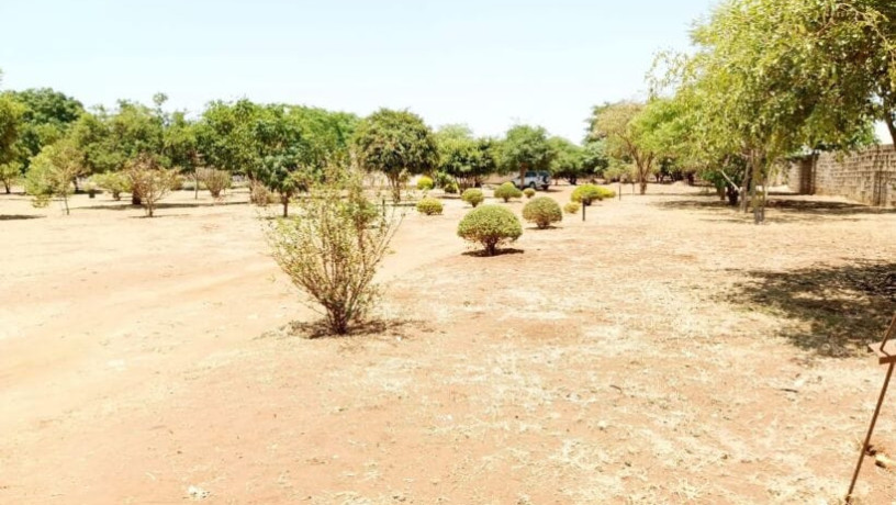 plots-for-sale-in-chalala-big-4