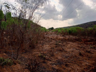 35-acres-land-for-sale-in-kafue