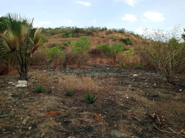 35-acres-land-for-sale-in-kafue-big-4