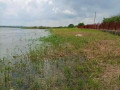 25-acre-land-for-sale-in-kafue-small-4