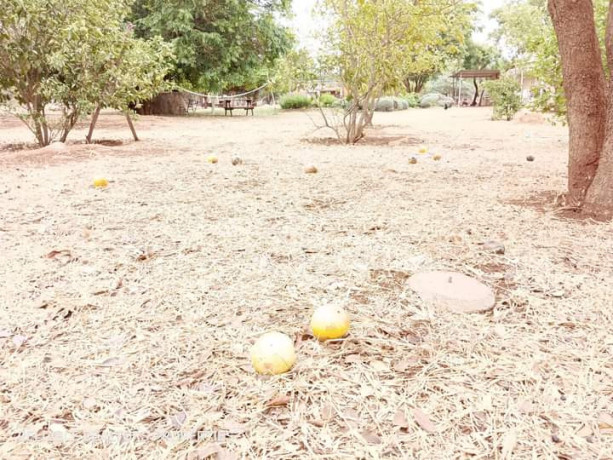 plots-for-sale-in-chalala-big-7