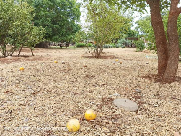plots-for-sale-in-chalala-big-6
