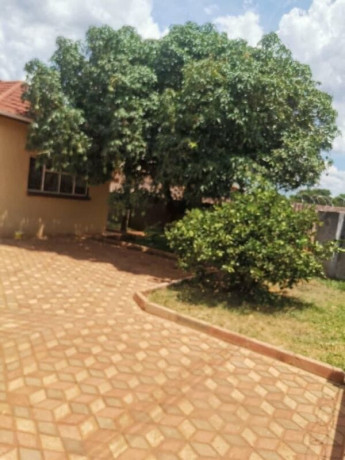 3-bedroom-flat-for-rent-in-chalala-big-4