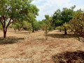 plots-for-sale-in-chalala-small-8