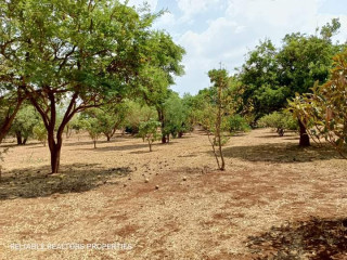 Plots For Sale In Chalala