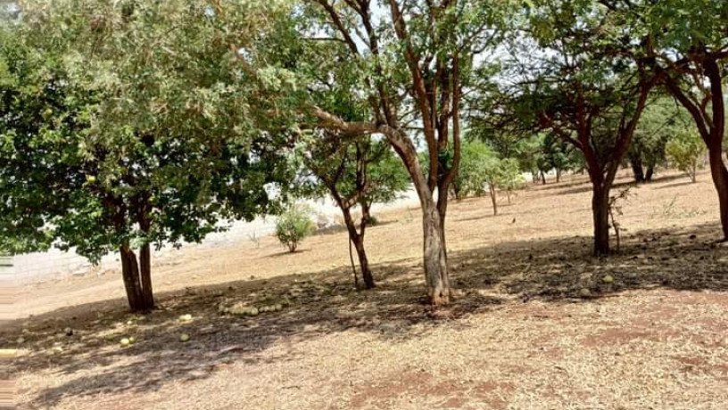 plots-for-sale-in-chalala-big-3