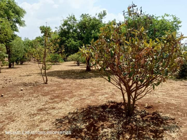plots-for-sale-in-chalala-big-7