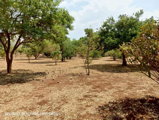 plots-for-sale-in-chalala-big-8