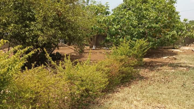 residential-plot-for-sale-in-chalala-big-8