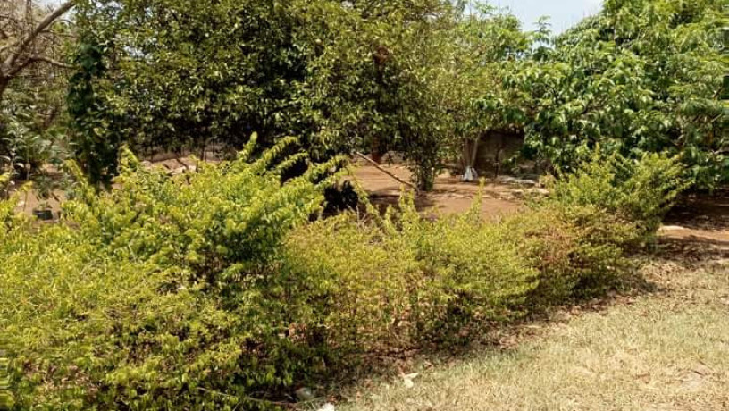 residential-plot-for-sale-in-chalala-big-7