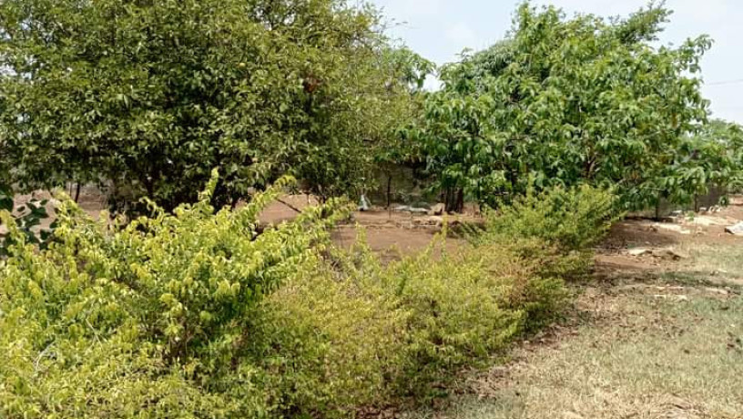 residential-plot-for-sale-in-chalala-big-4