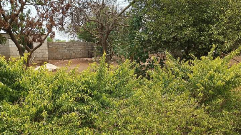 residential-plot-for-sale-in-chalala-big-9