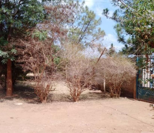 3-bedroom-house-for-sale-in-chelstone-big-2