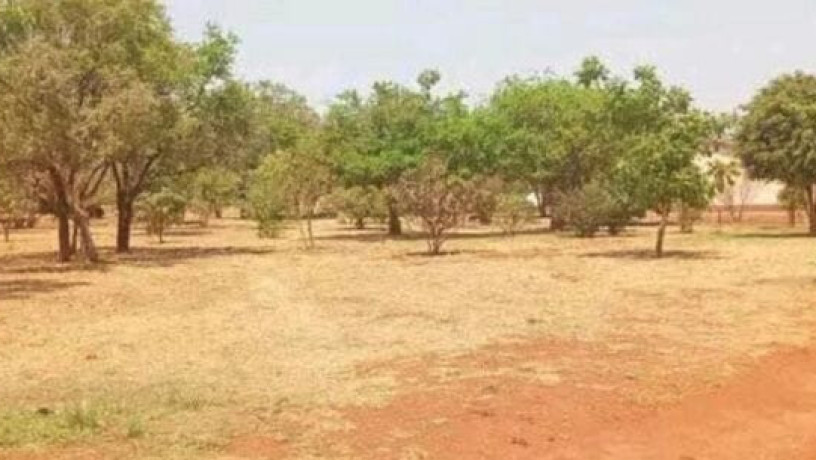 plots-for-sale-in-chalala-big-1