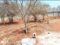 plots-for-sale-in-chalala-small-3